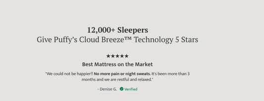 Puffy Royal Twin XL Hybrid Mattress Hybrid Mattresses by Puffy - Walls Furniture & Mattress
