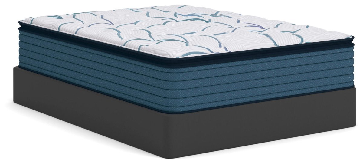 Limited Edition Plush PT 3.0 - Mattress Pillow Top Mattresses by Sierra Sleep® by Ashley - Walls Furniture & Mattress
