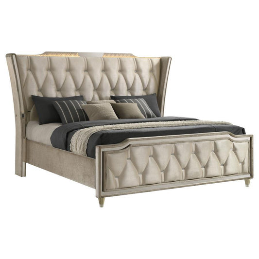 Lorient - LED Upholstered Bed Upholstered Beds by Coaster Fine Furniture - Walls Furniture & Mattress