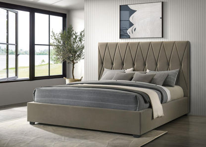 Delsea - Upholstered Platform Bed Upholstered Beds by Coaster Fine Furniture - Walls Furniture & Mattress