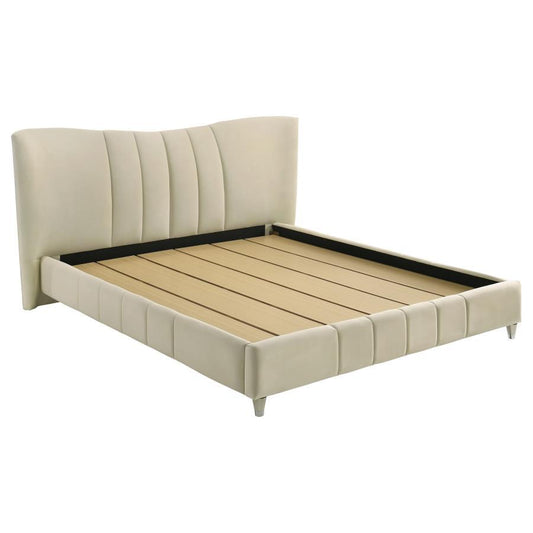 Evelyn - Upholstered Panel Platform Bed Upholstered Beds by Coaster Fine Furniture - Walls Furniture & Mattress