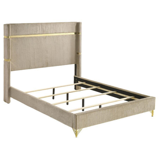 Lucia - Upholstered Wingback Bed Upholstered Beds by Coaster Fine Furniture - Walls Furniture & Mattress