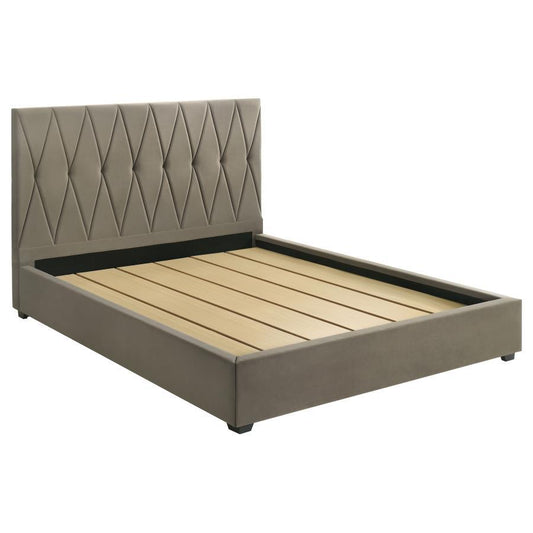 Delsea - Upholstered Platform Bed Upholstered Beds by Coaster Fine Furniture - Walls Furniture & Mattress