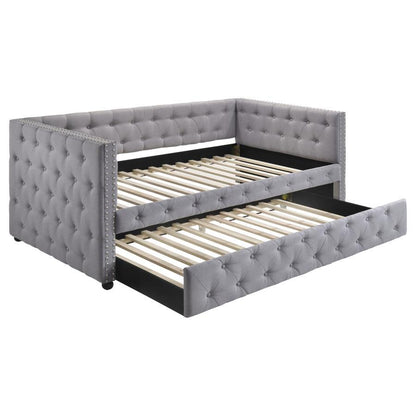 Mockern - Upholstered Twin Daybed With Trundle - Gray Daybeds by CoasterEssence - Walls Furniture & Mattress