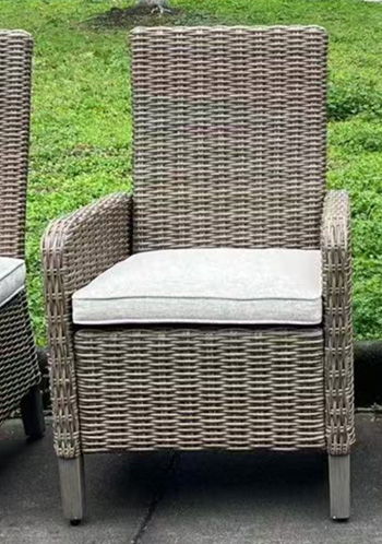 Laguna Heights - Beige - Arm Chair With Cushion (Set of 2) Chair Sets by Signature Design by Ashley® - Walls Furniture & Mattress