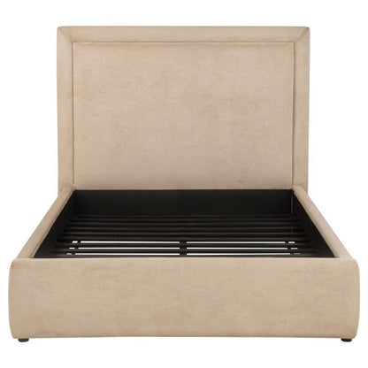 Lawson - Upholstered Platform Bed Upholstered Beds by Coaster Fine Furniture - Walls Furniture & Mattress