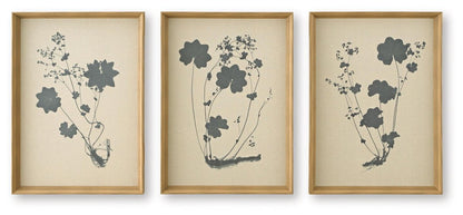 Huddwick - Wall Art Set (Set of 3) - Linen / Black Canvas Art Sets by Signature Design by Ashley® - Walls Furniture & Mattress