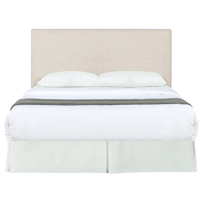 Pirro - Upholstered Panel Headboard Upholstered Headboards by CoasterEveryday - Walls Furniture & Mattress