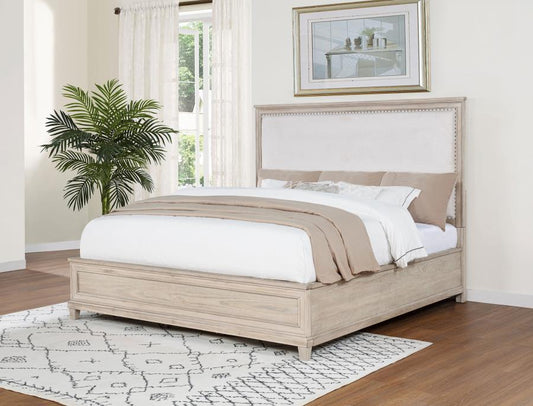 Pembroke - Panel Bed Upholstered Beds by Coaster Fine Furniture - Walls Furniture & Mattress