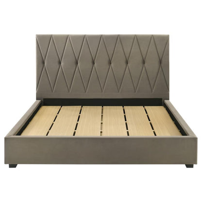 Delsea - Upholstered Platform Bed Upholstered Beds by Coaster Fine Furniture - Walls Furniture & Mattress