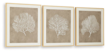 Hendridge - Taupe / White - Wall Art Set (Set of 3) Framed Print Sets by Signature Design by Ashley® - Walls Furniture & Mattress