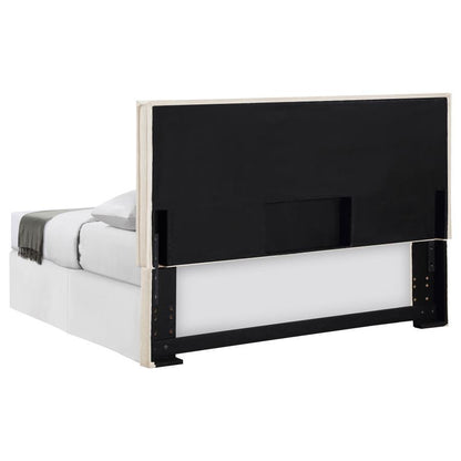 Izzy - Upholstered Panel Headboard Upholstered Headboards by CoasterEveryday - Walls Furniture & Mattress