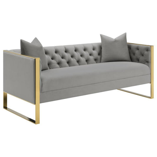 Eastbrook - Velvet Upholstered Tufted Sofa - Gray Stationary Sofas by CoasterElevations - Walls Furniture & Mattress