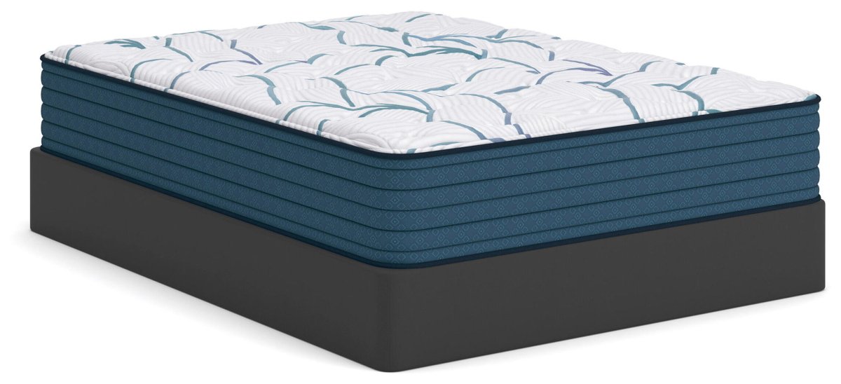 Limited Edition Plush 3.0 - Mattress Hybrid Mattresses by Sierra Sleep® by Ashley - Walls Furniture & Mattress