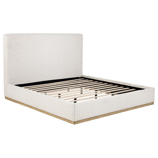 Knox - Upholstered Platform Bed Upholstered Beds by Coaster Fine Furniture - Walls Furniture & Mattress