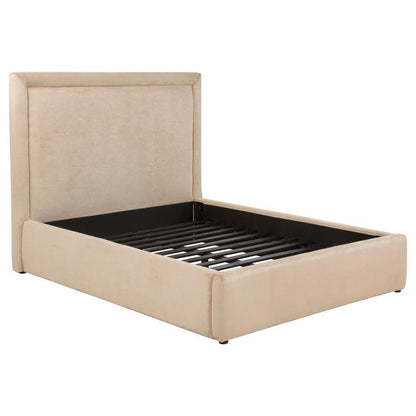Lawson - Upholstered Platform Bed Upholstered Beds by Coaster Fine Furniture - Walls Furniture & Mattress