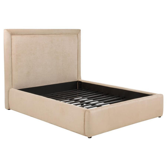 Lawson - Upholstered Platform Bed Upholstered Beds by Coaster Fine Furniture - Walls Furniture & Mattress