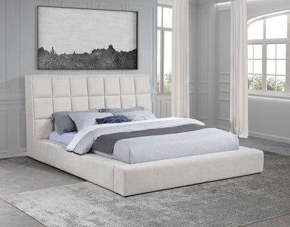 Dreux - Upholstered Panel Platform Bed Upholstered Beds by Coaster Fine Furniture - Walls Furniture & Mattress