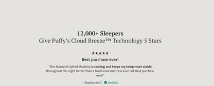 Puffy Royal Twin Hybrid Mattress Hybrid Mattresses by Puffy - Walls Furniture & Mattress