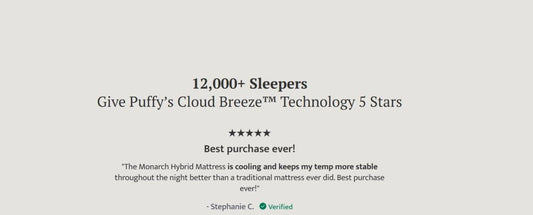 Puffy Royal Twin Hybrid Mattress Hybrid Mattresses by Puffy - Walls Furniture & Mattress