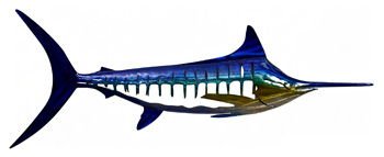 Davion - Indoor/Outdoor Wall Decor - Blue / Teal / Yellow Wall Decor by Signature Design by Ashley® - Walls Furniture & Mattress