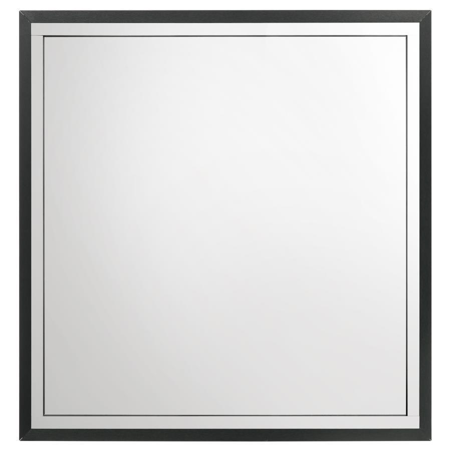 Lucia - Dresser Mirror Bedroom Mirrors by Coaster Fine Furniture - Walls Furniture & Mattress