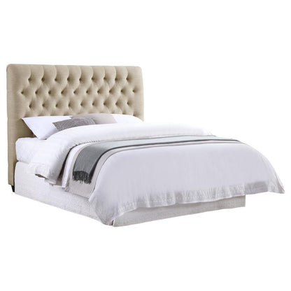 Chloe - Upholstered Panel Headboard Upholstered Headboards by CoasterEssence - Walls Furniture & Mattress