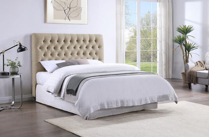 Chloe - Upholstered Panel Headboard Upholstered Headboards by CoasterEssence - Walls Furniture & Mattress